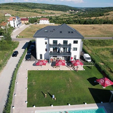 Pensiunea Harmony Băile Felix Extérieur photo
